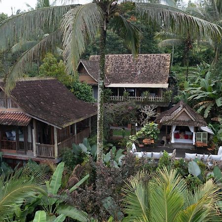 Niente Bali Villa Penebel Kültér fotó